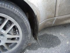 S_IMGP0124.JPG
