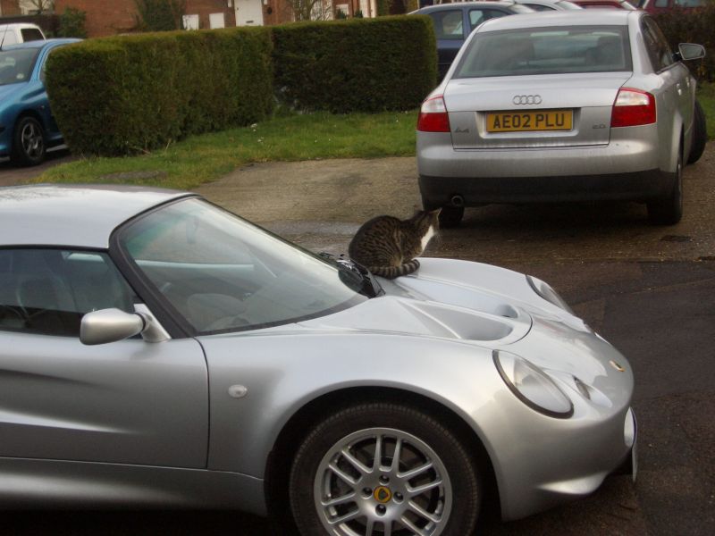 The New S1