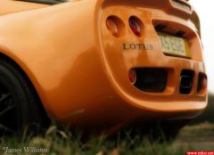 IMG_8042midnightsep.jpg