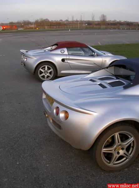 1st Lotus Day
