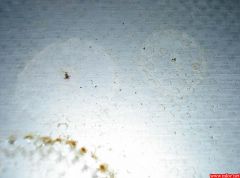 PICT0497.jpg