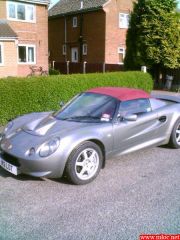 IMAGE_lotus3.jpg