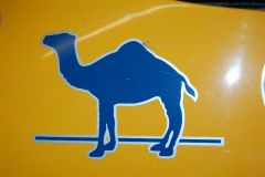 Camel Honda