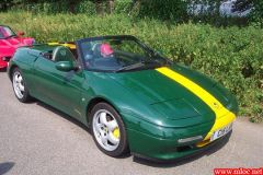 Green and Yellow Elan