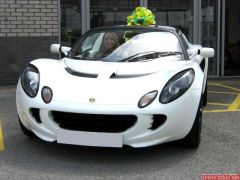 Lotus 4.jpg