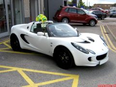 Lotus 3.jpg