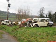 IMG_0015_2.jpg