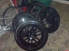 just sprayed.JPG
