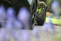 IMG_0193.JPG