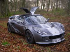 TT230 Elise Gull wing