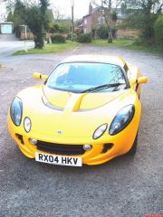 Lotus 012.jpg