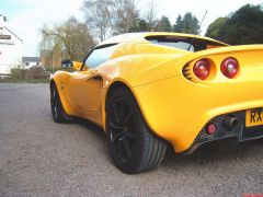 Lotus 005.jpg