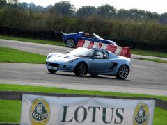 lotusday.jpg