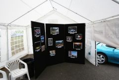 IMG_9380.JPG