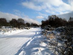 IMG_3684.jpg