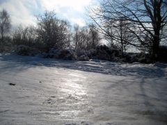 IMG_3680.jpg