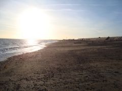 DSC06056.jpg