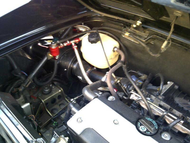 IMG-20110118-00087.jpg