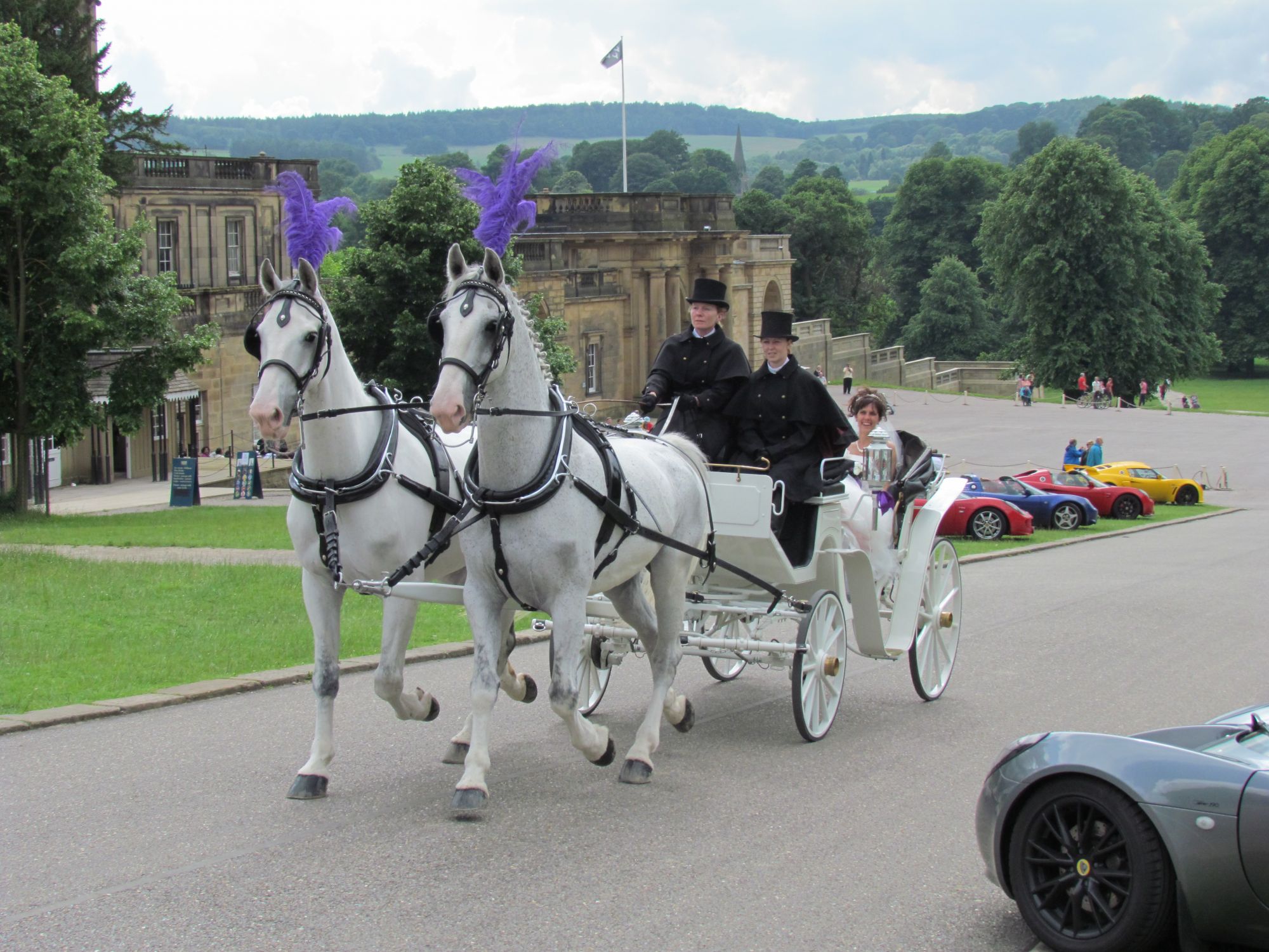 Chatsworth 8 0702012 089