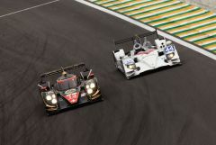 Sao Paulo Grand Prix
