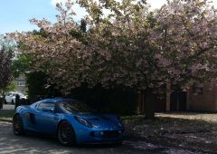 M@rks Exige - Japanese Cherry Blossom 2