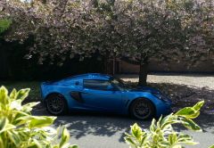 M@rks Exige - Japanese Cherry Blossom 1