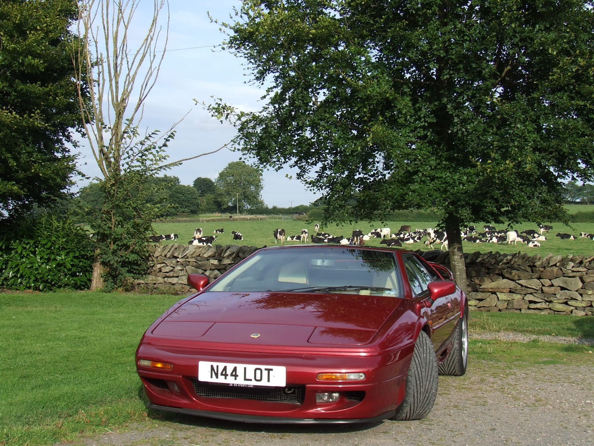 S4s & holy cows