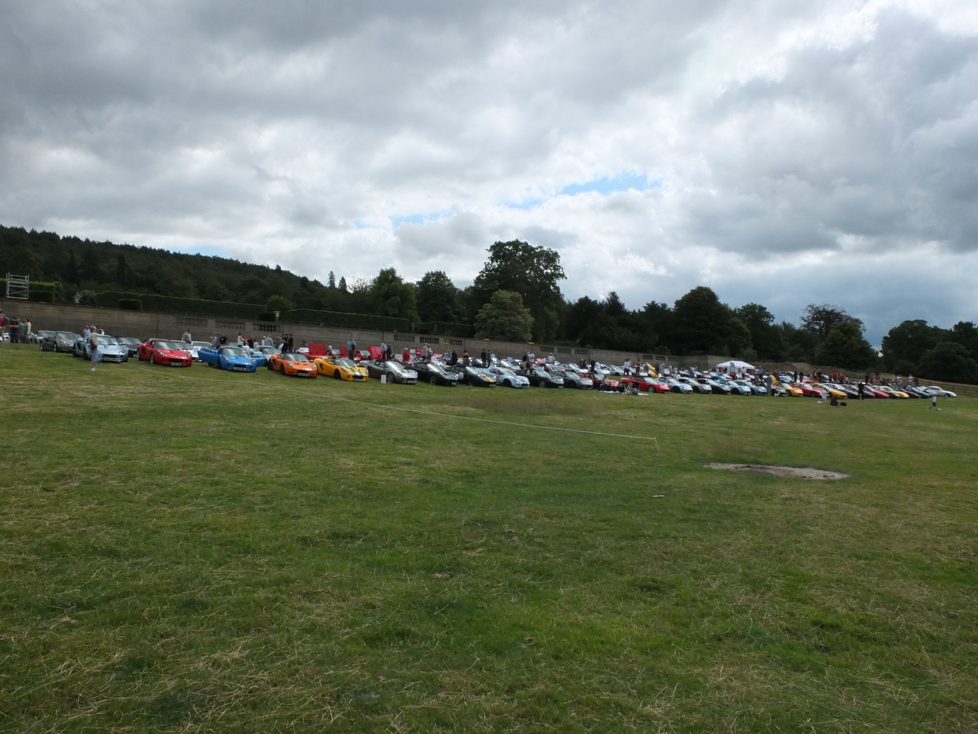 Loads of Lotus!