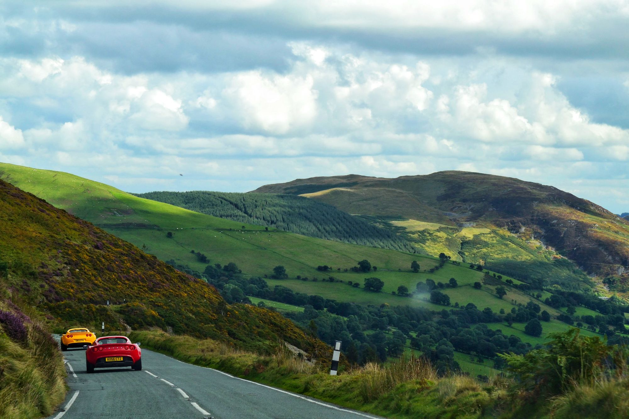 Wales 2015