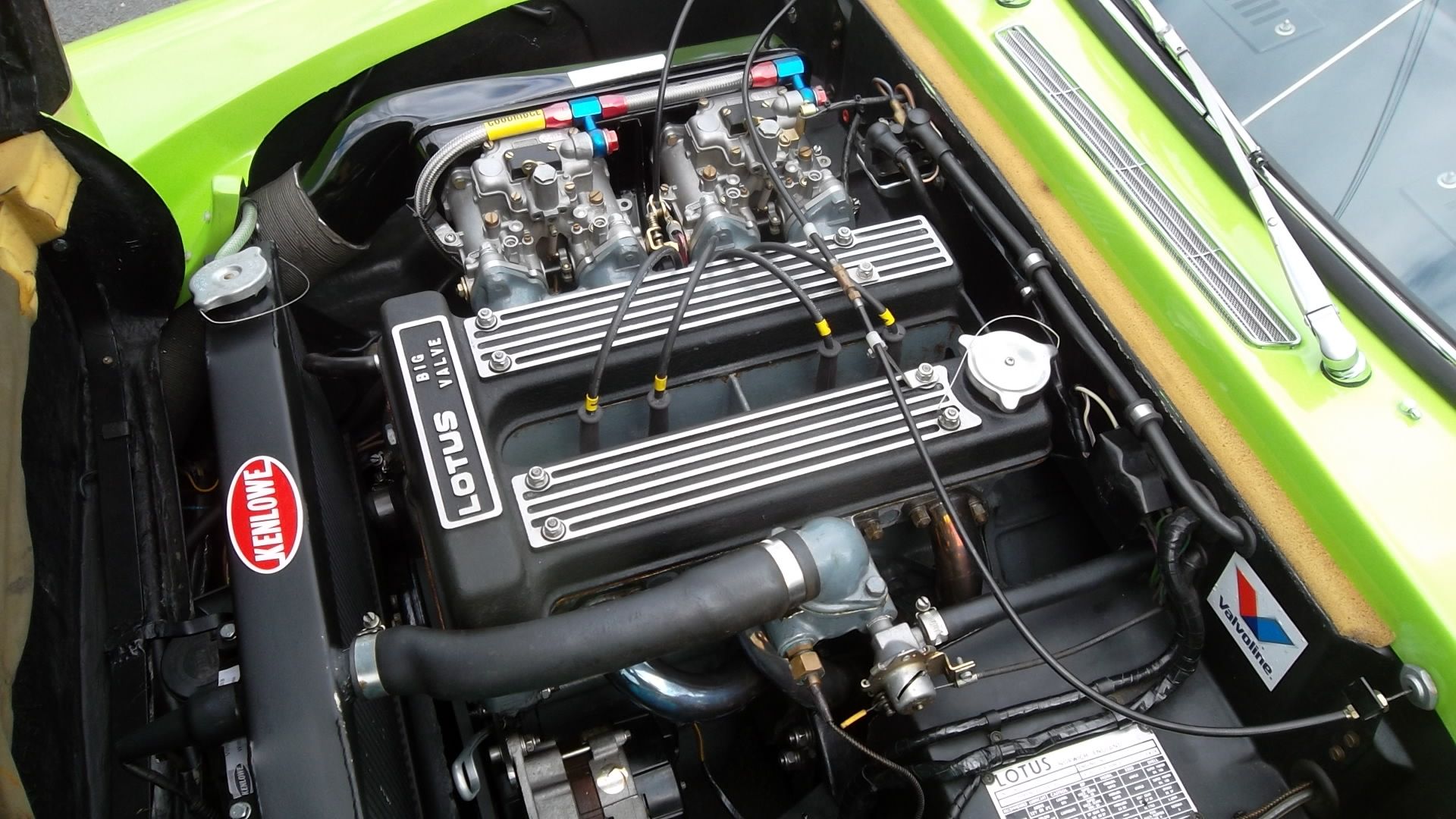 Tmp 3384 GREEN WHITE ELAN SPRINT 81924231675