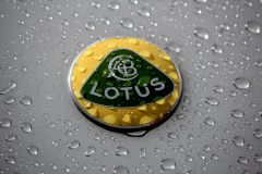 Lotus of old