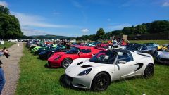 Lotus in the Peak 2016