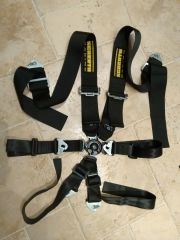 Schroth Harnesses taken from Fisher Fury