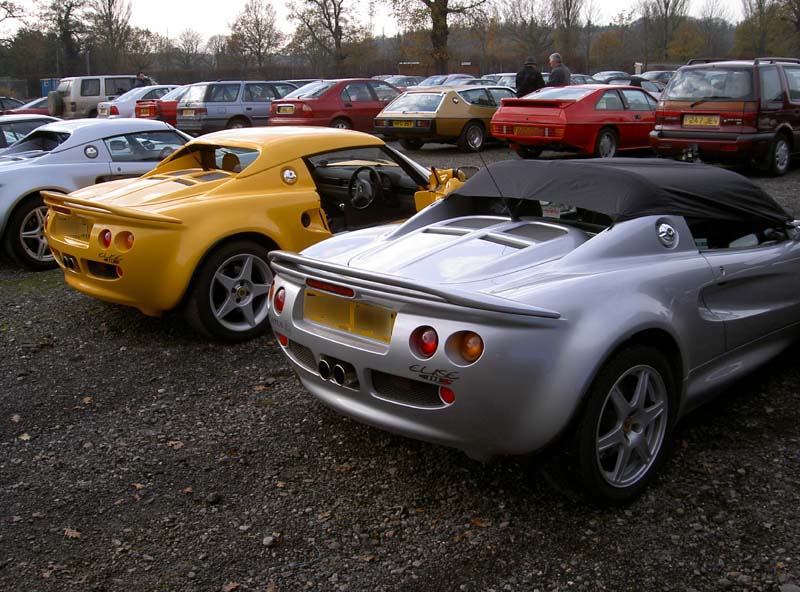 Stoneleigh Lotus show