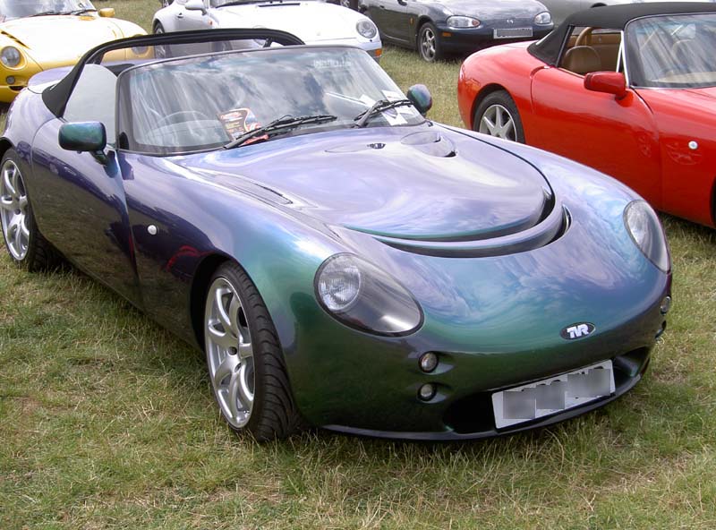 195.jpg