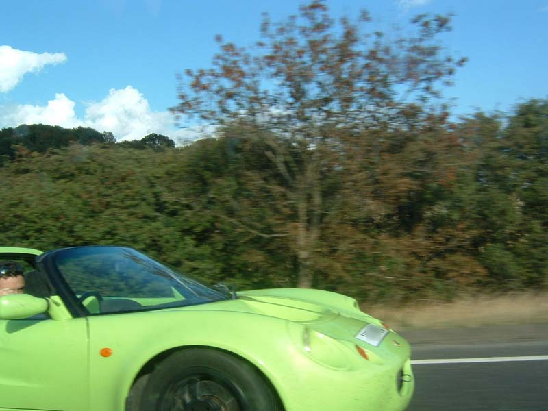 228.jpg