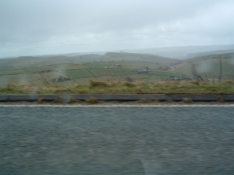 564.jpg