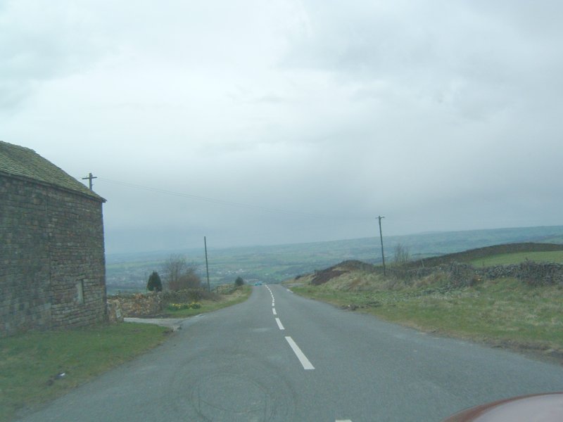 558.jpg