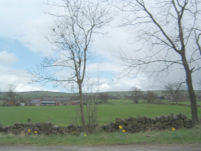 557.jpg