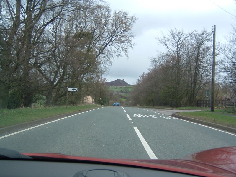 542.jpg