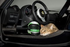 Lotus Pet Lids - protection for four legged friends