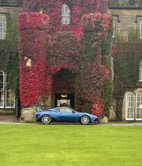 IMG_5794.jpeg
