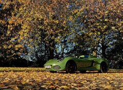 IMG_1893.jpeg