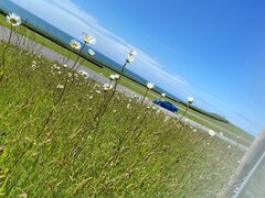IMG_0829.jpeg