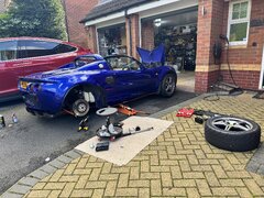 IMG_3492.jpeg