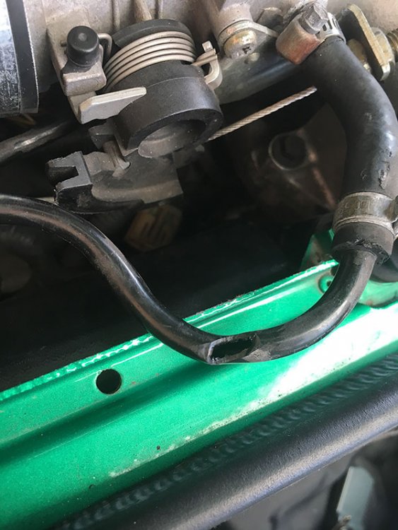 hose.thumb.jpg.201b074703b07edb72a45824809acd5e.jpg