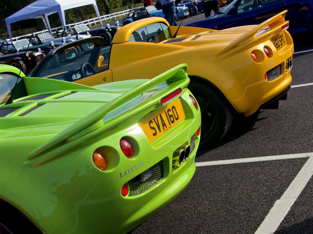 DSC_7237.jpg
