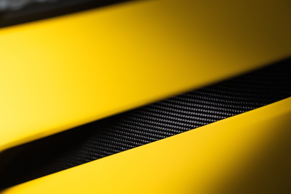 Lotus_Emeya_Detail_020724.jpg
