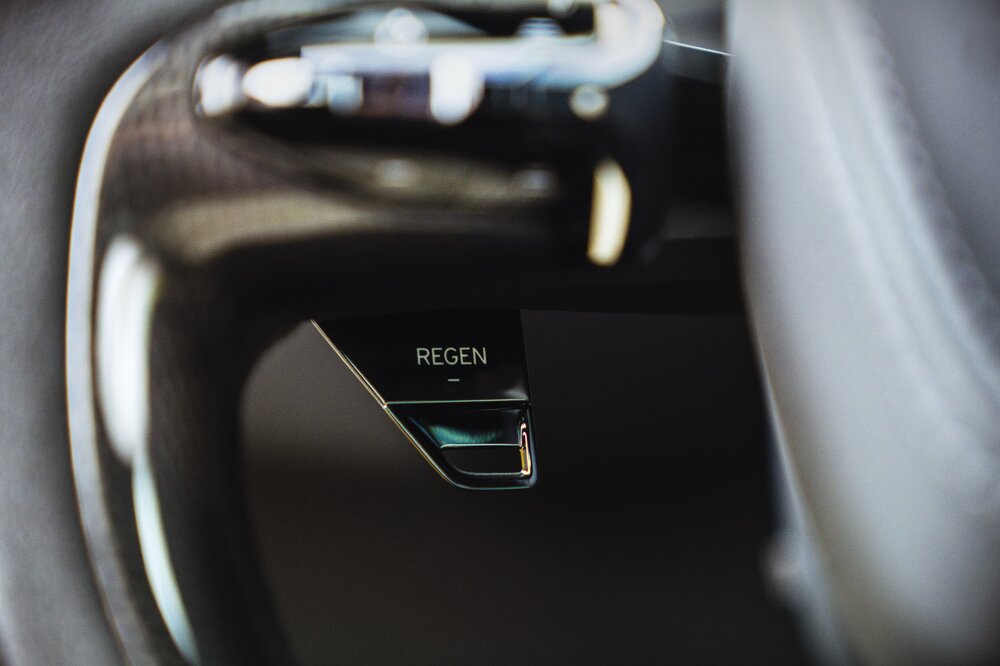 Lotus_Emeya_Detail_Regen_020724_03.jpg