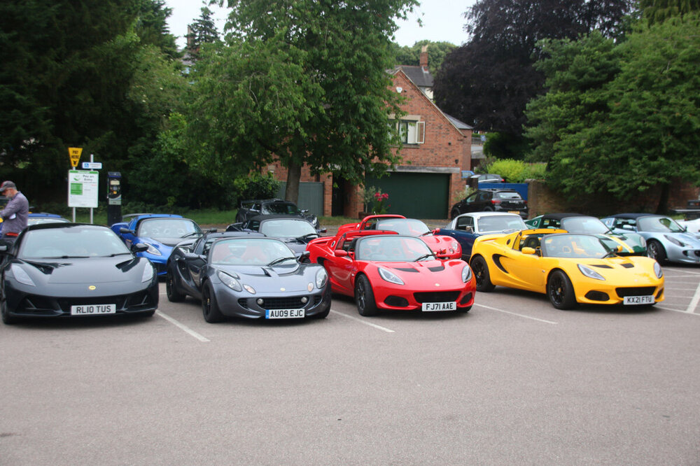 Lotus in the Peaks 2025- LS (6).jpg